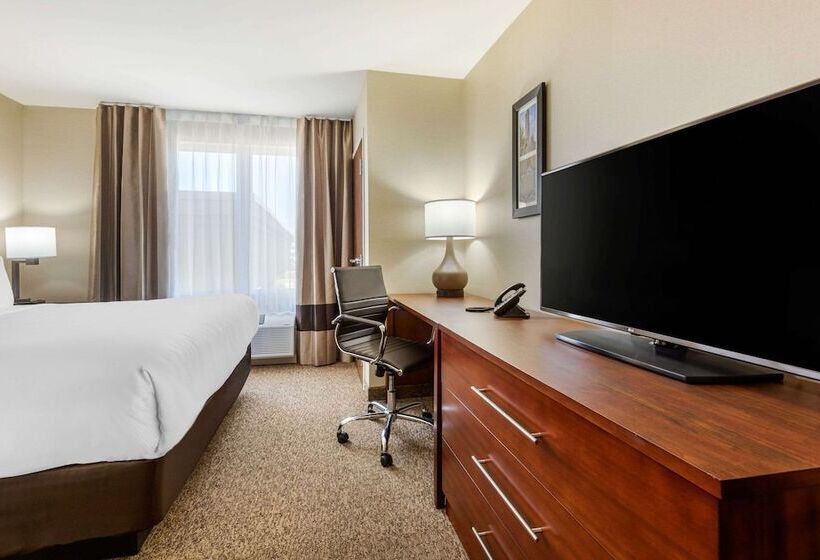 فندق Comfort Inn & Suites