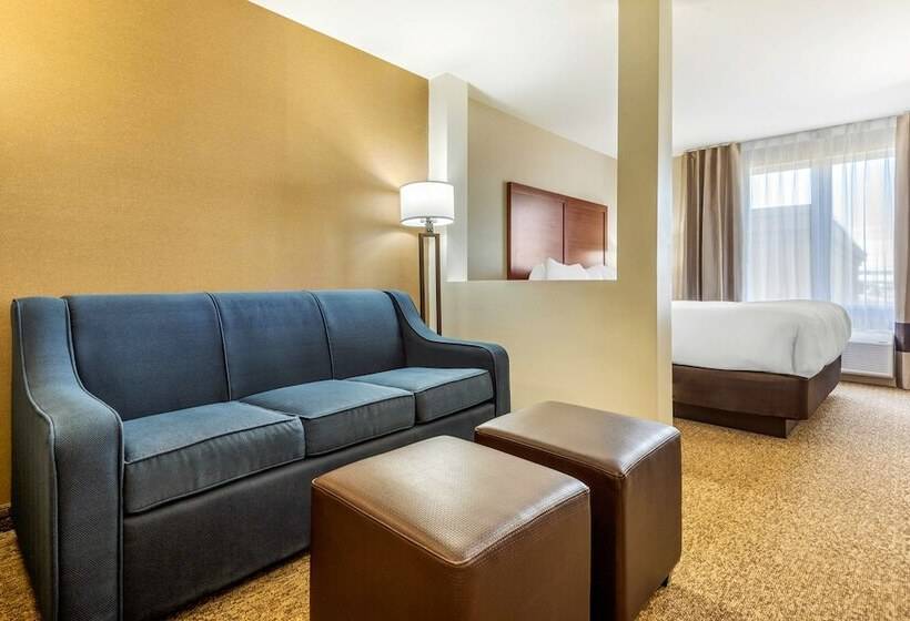 فندق Comfort Inn & Suites