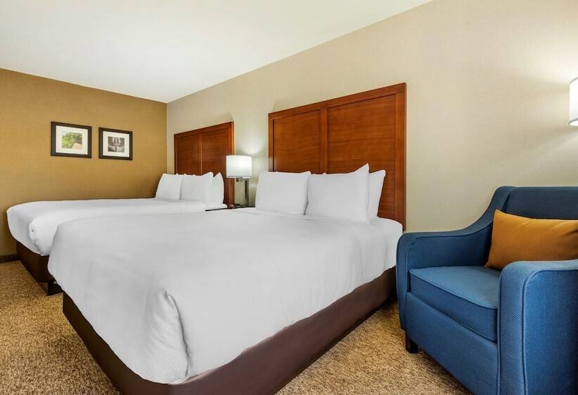 فندق Comfort Inn & Suites