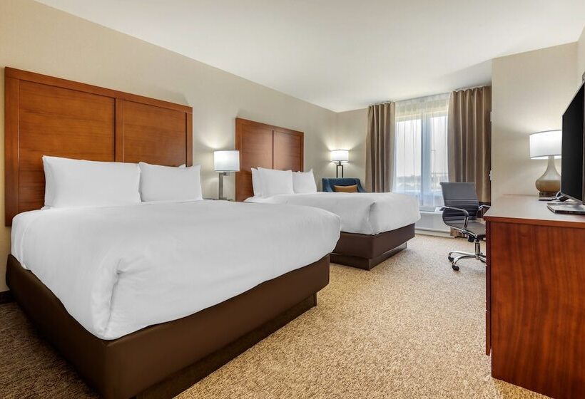 فندق Comfort Inn & Suites