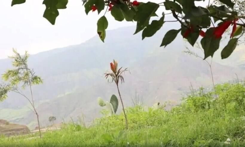 酒店 Fikirandray Lodge