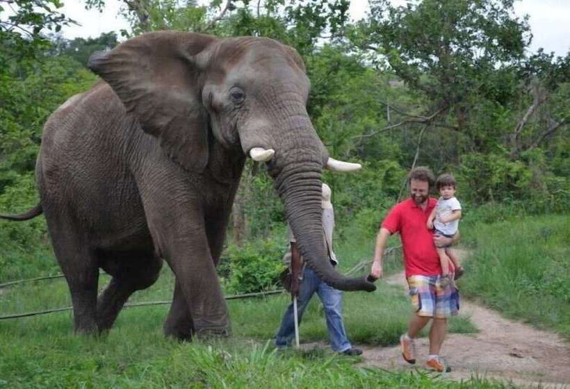 ホテル Hazyview Buffalo Game Lodge