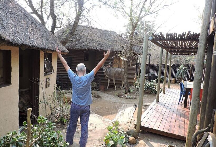 호텔 Kruger Inn Backpackers