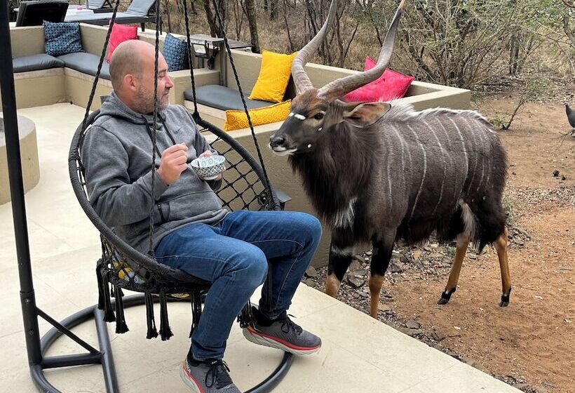 בית מלון כפרי Lindiwe Safari Lodge