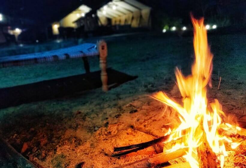 호텔 Maati Jungle Lodge