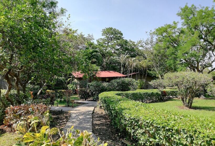 בית מלון כפרי Rincon De La Vieja Lodge
