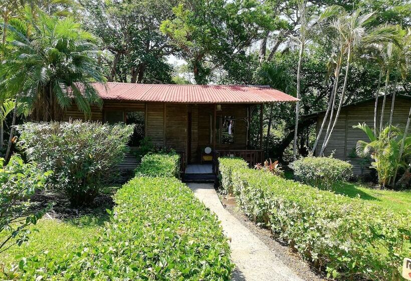 בית מלון כפרי Rincon De La Vieja Lodge