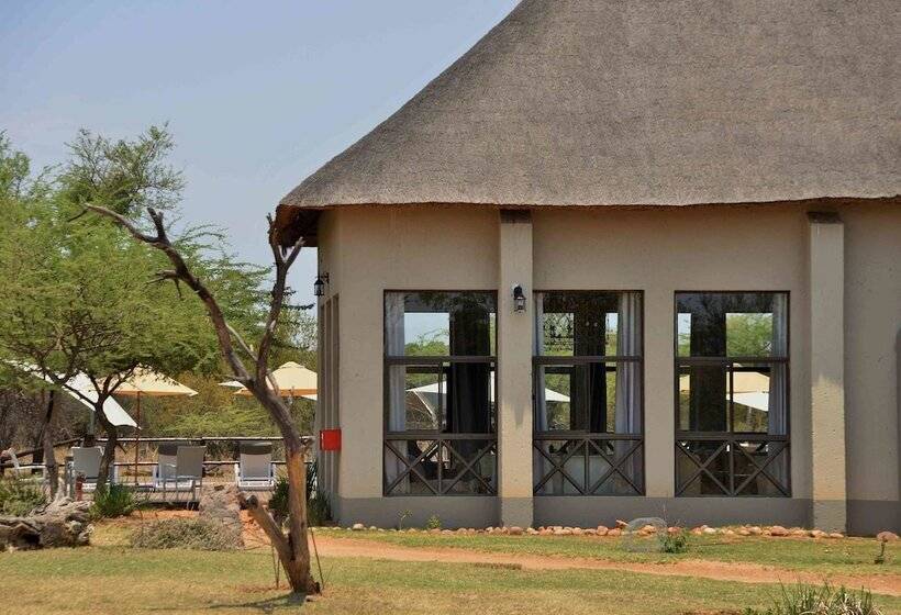 בית מלון כפרי Safari Plains