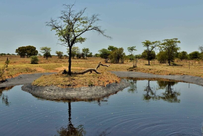 فندق Safari Plains