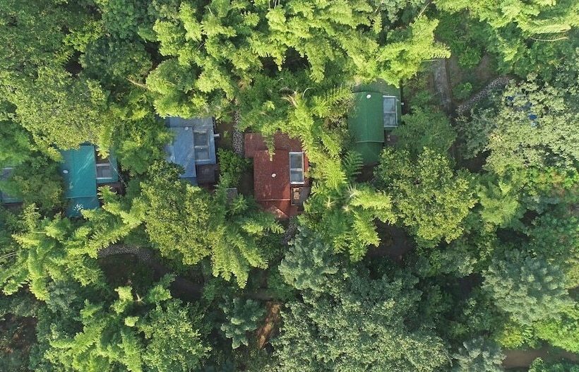 בית מלון כפרי Syna Tiger Resort Bandhavgarh