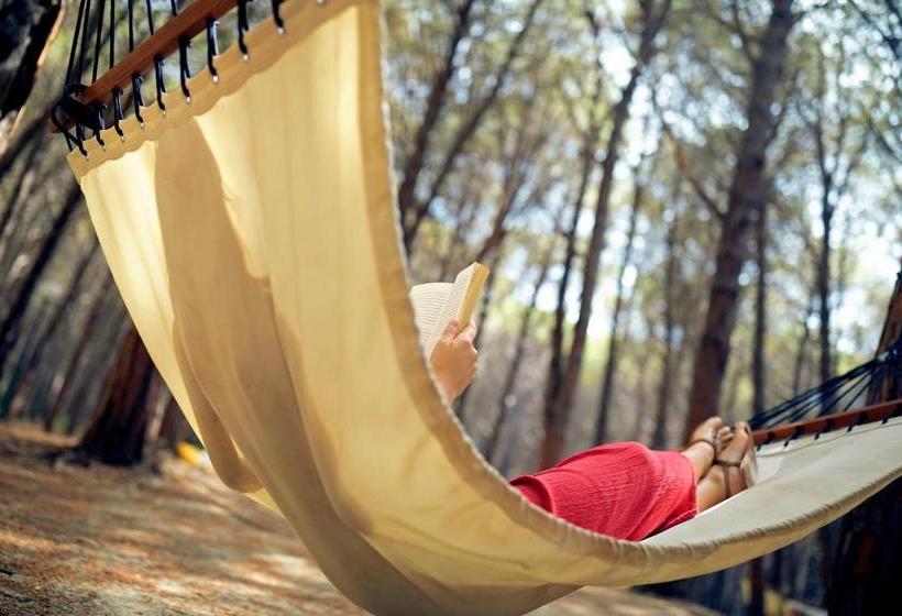 酒店 Tui Magic Life Calabria   All Inclusive