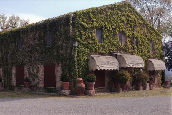 La Fattoria Di Nonna Raffaella