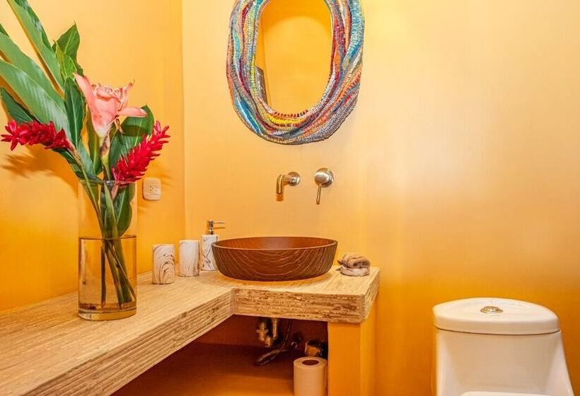 La Shamana Ecological, Concept In The Jungle