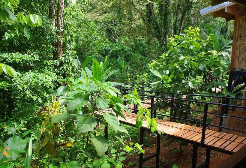 La Shamana Ecological, Concept In The Jungle