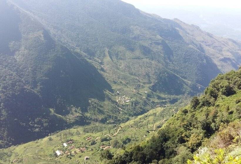 פנסיון Basilico Homestay