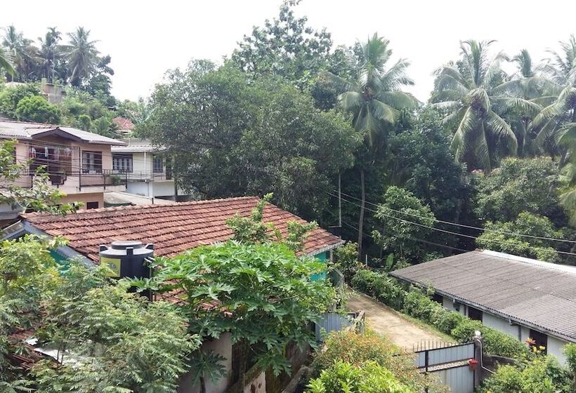 פנסיון Basilico Homestay