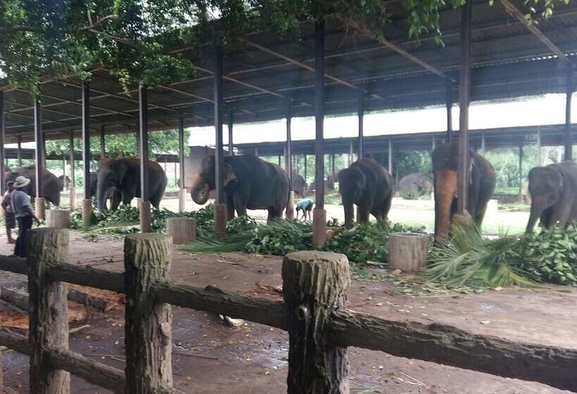 פנסיון Basilico Homestay