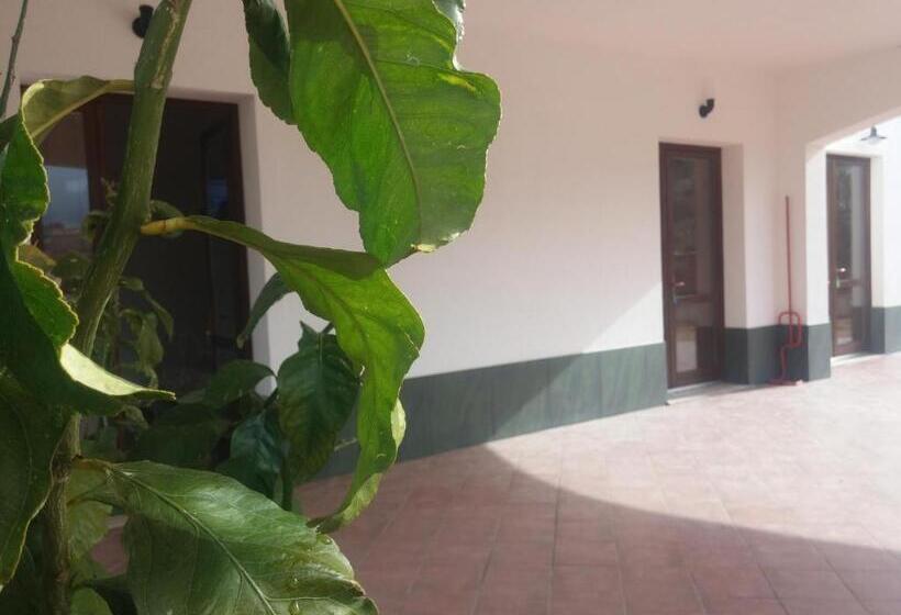 Segesta Antichi Sapori