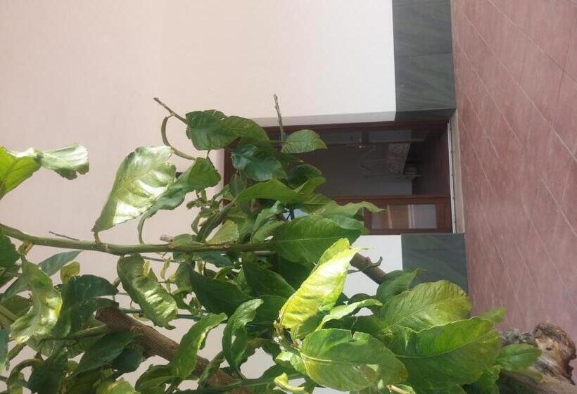 Segesta Antichi Sapori