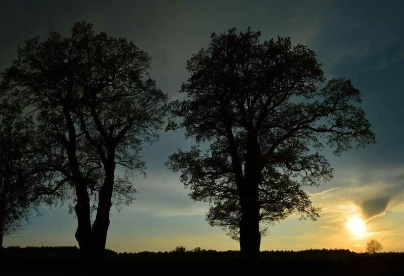Tużur Domki Nad Potokiem