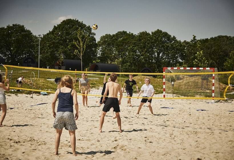 Arena Midt