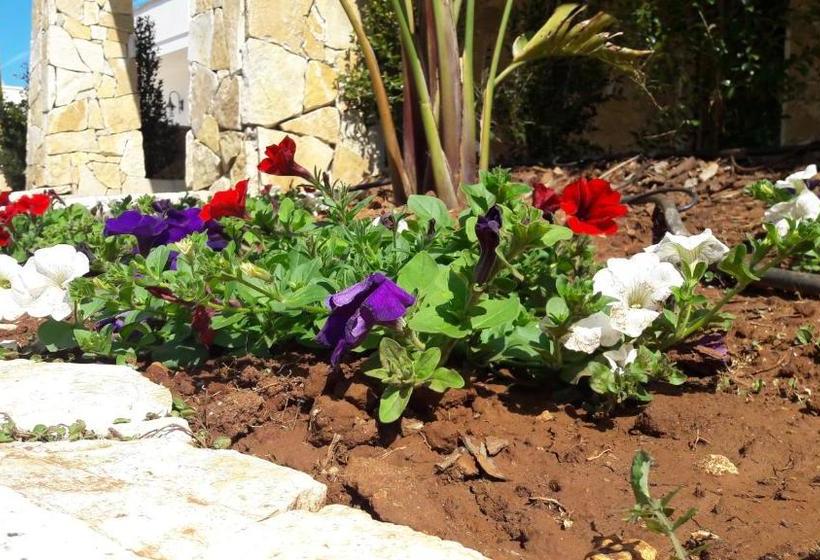 B&b Punta Stilo