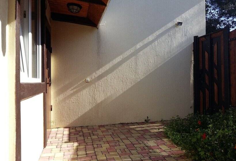 تختخواب و صبحانه Mini Hotel Mango