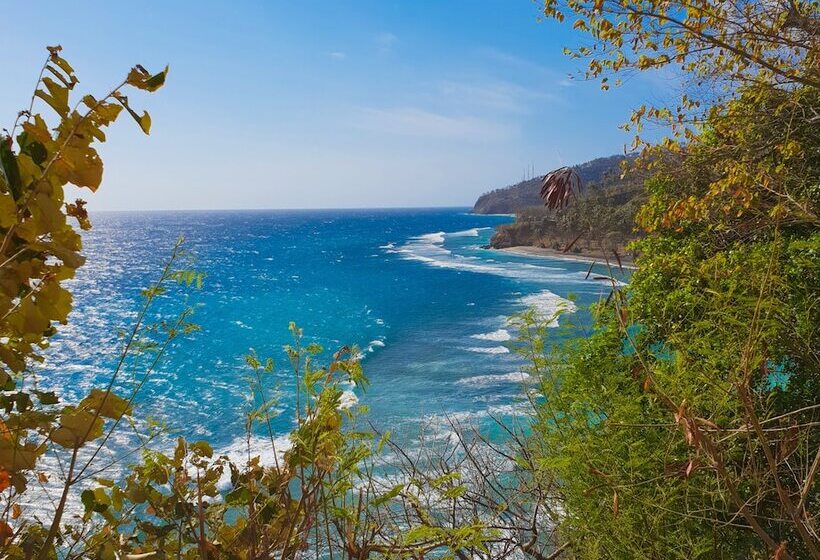 住宿加早餐  Taman Unique