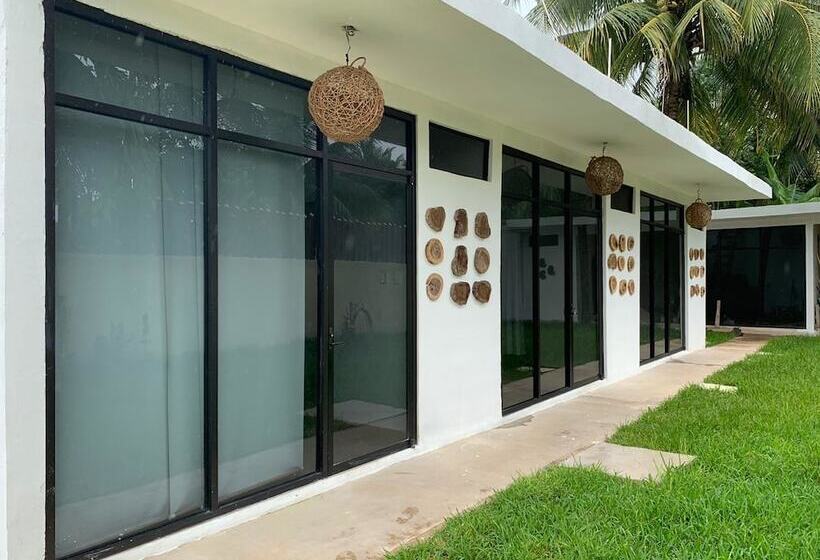 Casa Delia Hotel Downtown