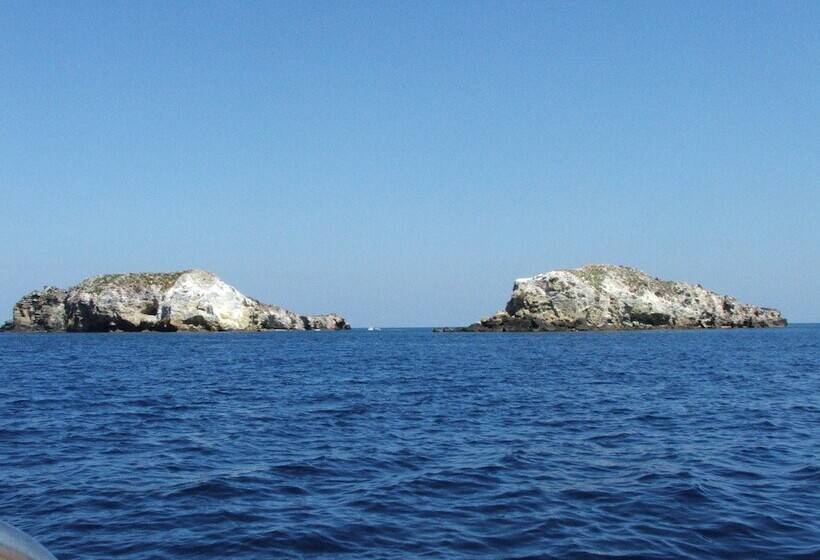 فندق Eunymos   Trattoria Da Francesco Panarea