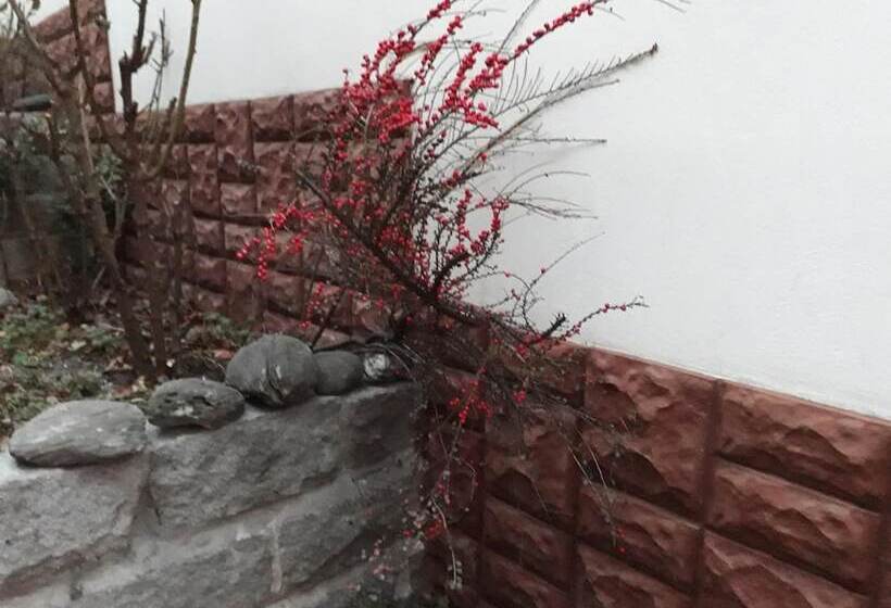 호텔 Guest House Ivan