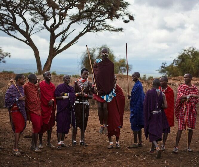 Отель H12 Elephant Gorge Camp