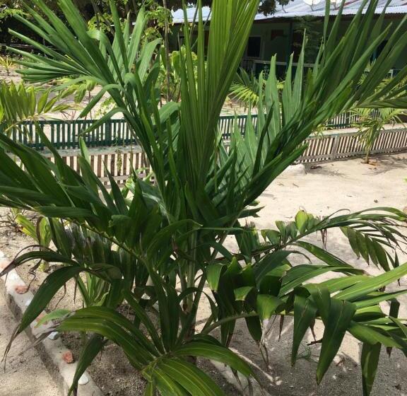 هتل Mabuhay Thresher Dive Resort