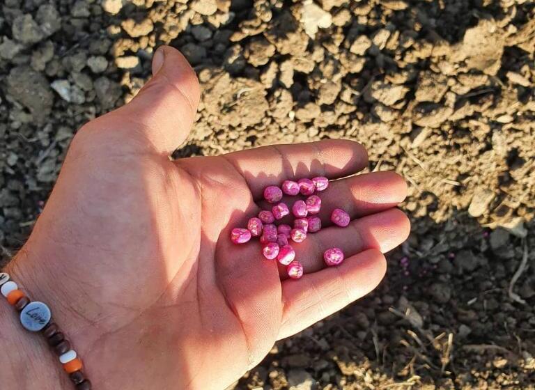 酒店 Resort San Nicola Restaurant And Wellness Fitness