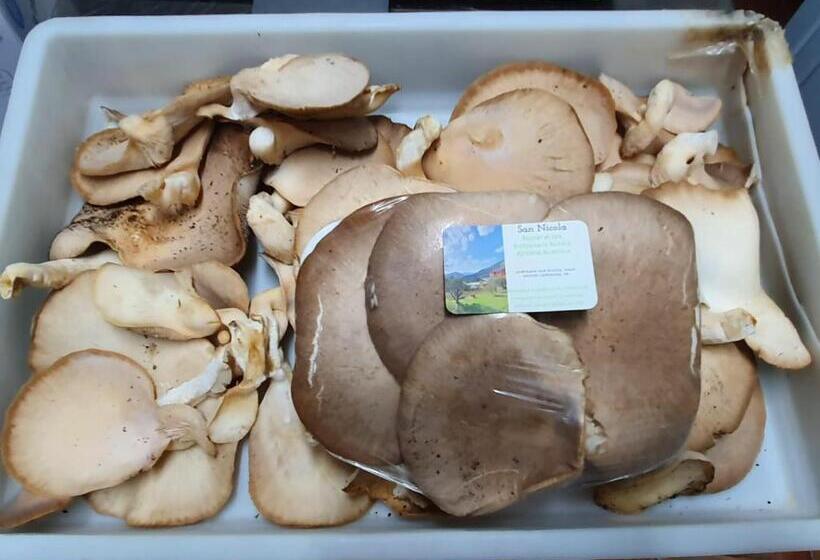 酒店 Resort San Nicola Restaurant And Wellness Fitness