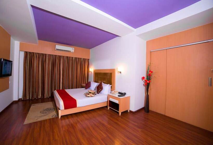 酒店 Rr Inn  Tirunelveli