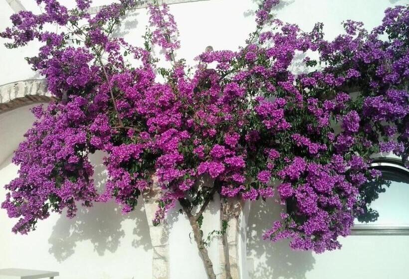 교외 호텔 Masseria Del Crocifisso