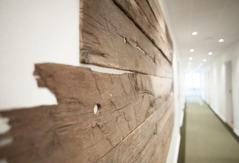 בית מלון כפרי Town Living