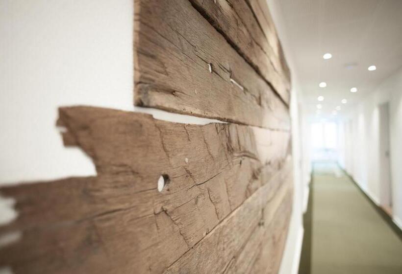 בית מלון כפרי Town Living