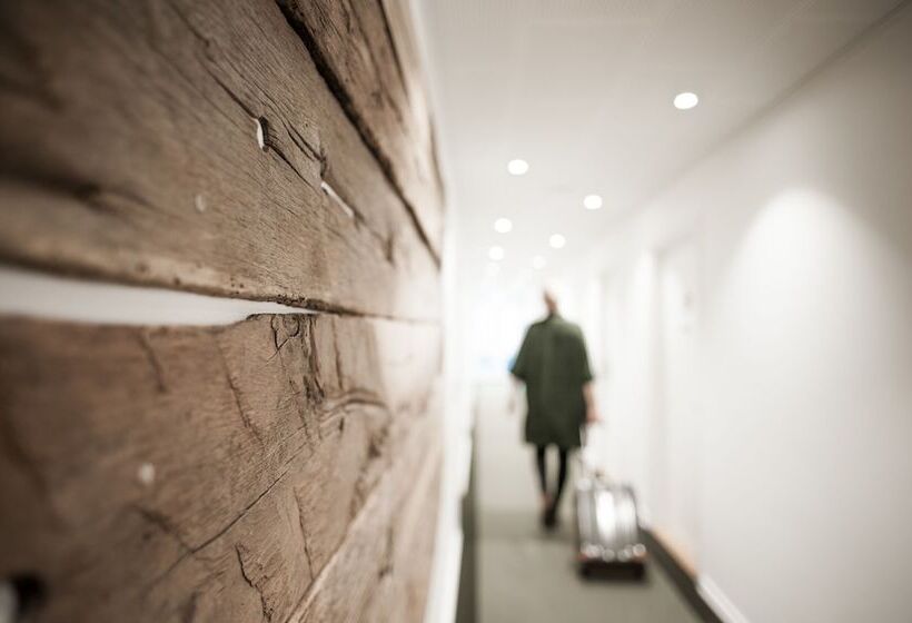 בית מלון כפרי Town Living