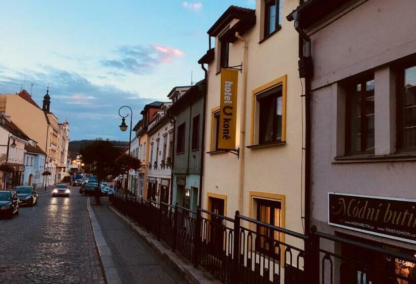 酒店 U Koně