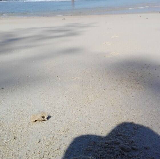 ホテル Viaafricalodge