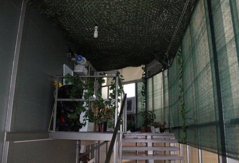 پانسیون Delif Guest House