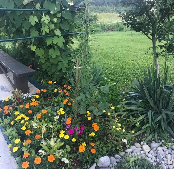 膳宿费 Guest House Klanfar