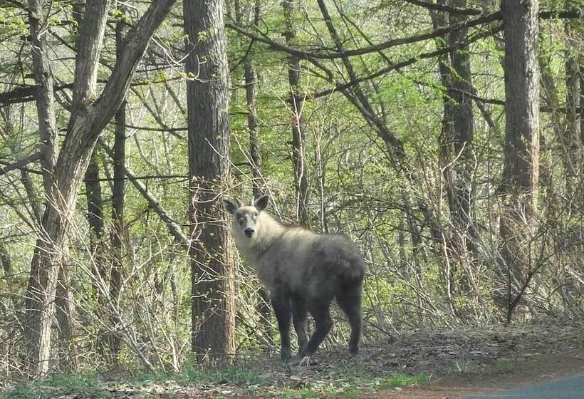 بنسيون Guest House Maroudo