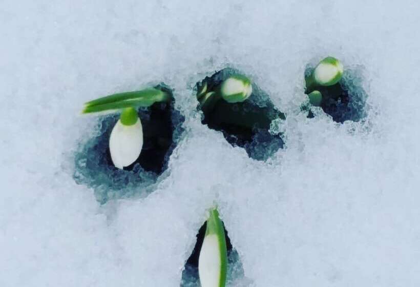 Пансион Moselina Gästezimmer