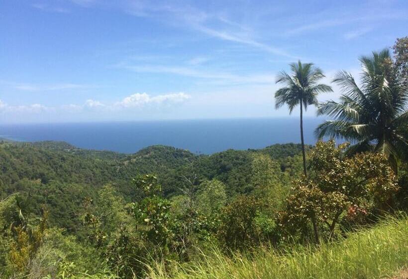 膳宿费 New Village Lodge