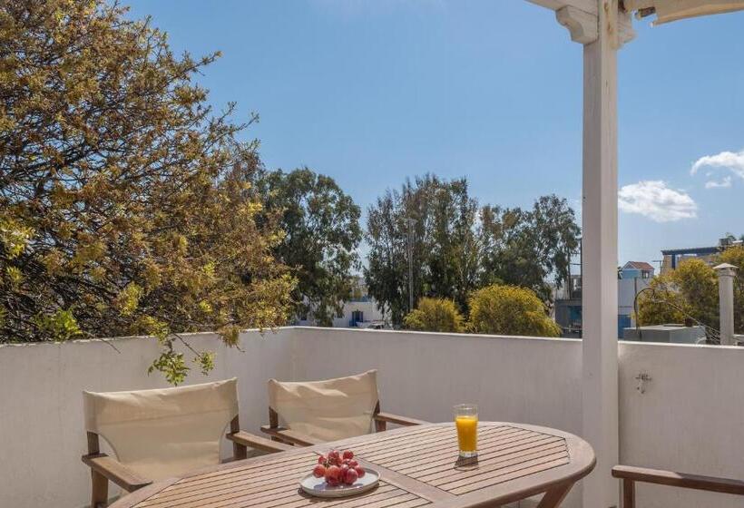 膳宿费 Olive Studios