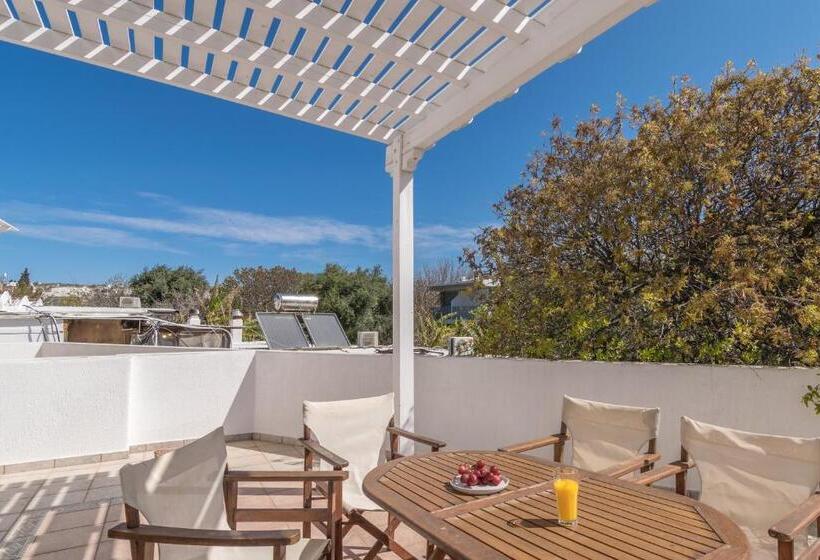 膳宿费 Olive Studios