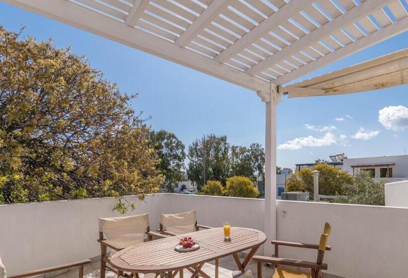 膳宿费 Olive Studios